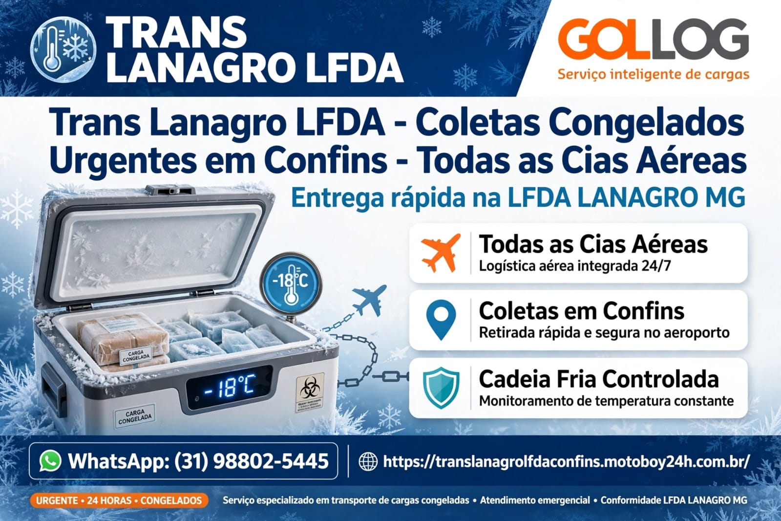 Coleta rápida em todas as companhias aéras de confins com entrega rápida e personalizada